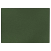 Aredo Tischset grün, recyceltes Leder,  rechteckig 45 x 35 cm, abwaschbar