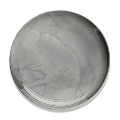 Flom Teller Coupe flach, Ø 27 cm, 8x10 antrasite_1