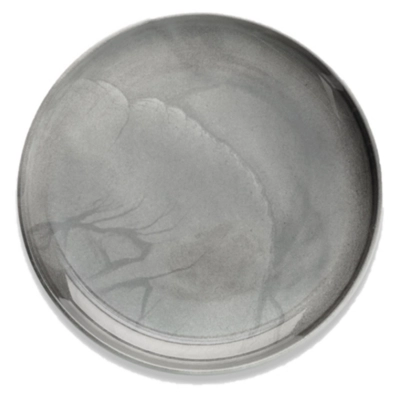 Flom Teller Coupe flach, Ø 30 cm, 8x10, antrasite_1