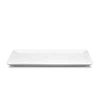 GN 1/3 Plateau, H: 1.9 cm, 32.5 x 17.6 cm 