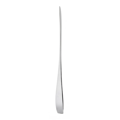 RW Vista Steakmesser, CNS 18/10, poliert, L: 24.4 cm, Materialstärke: 5.0 mm_1