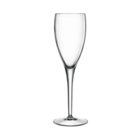 Michelangelo Champagner Glas, 1dl+, 160 ml,Ø 60 mm H: 185 mm