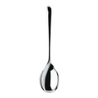 RW Signature Servierlöffel lang, 32 cm 