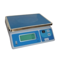 Eco Balance de cuisine,5g/30 kg, plateau 28x19.5cm 