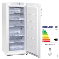 Tiefkühlschrank 200 L, 60 x 62 cm, H: 145 cm,  165W, 230V, statische Kühlung