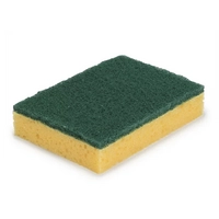 Patte-éponge, 15 x 9 cm, vert 
