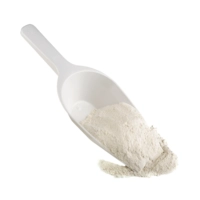 Pelle à farine, 0.5l, 31 x 12 cm, H: 5.5 cm polypropylène, blanc