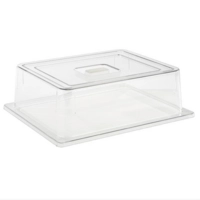 GN 1/2 Cloche, 32.5 x 26.5 cm, H: 9.5 cm 